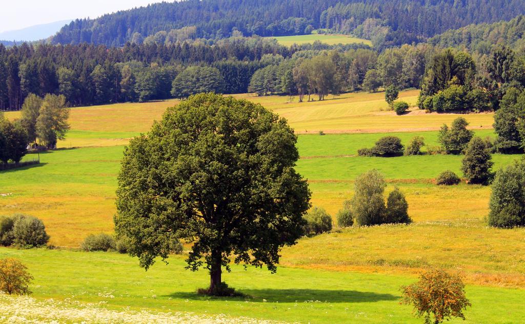 Pension Schuasterhof Bodenmais Kültér fotó