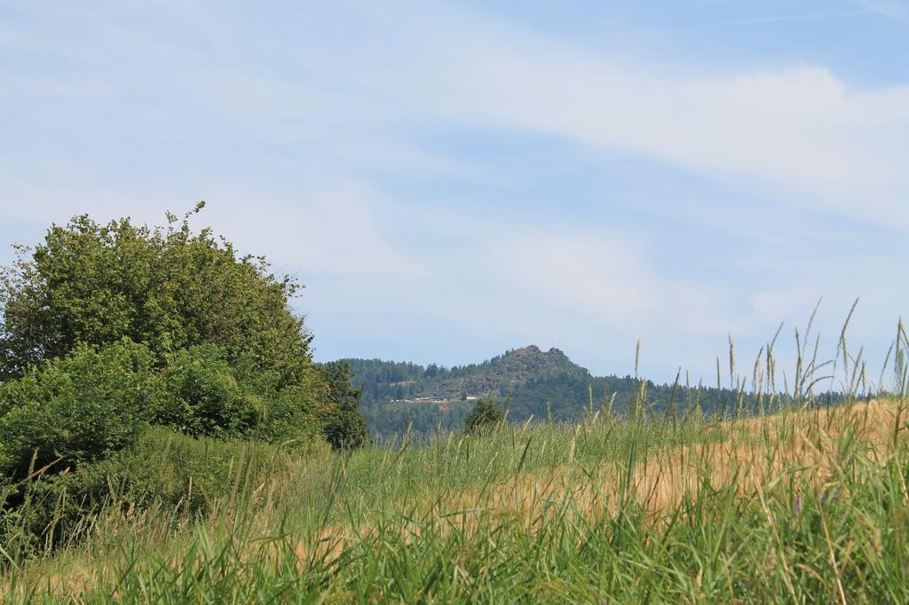 Pension Schuasterhof Bodenmais Kültér fotó