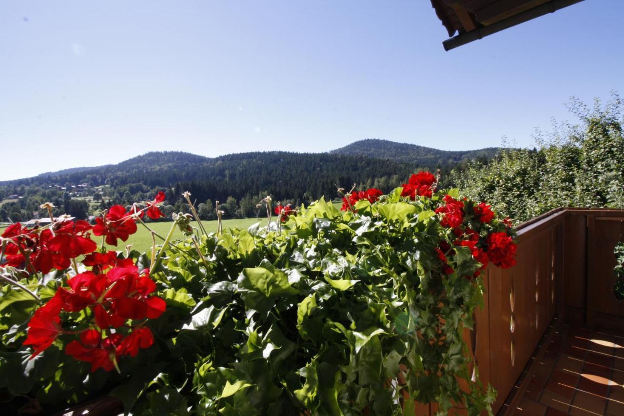 Pension Schuasterhof Bodenmais Kültér fotó