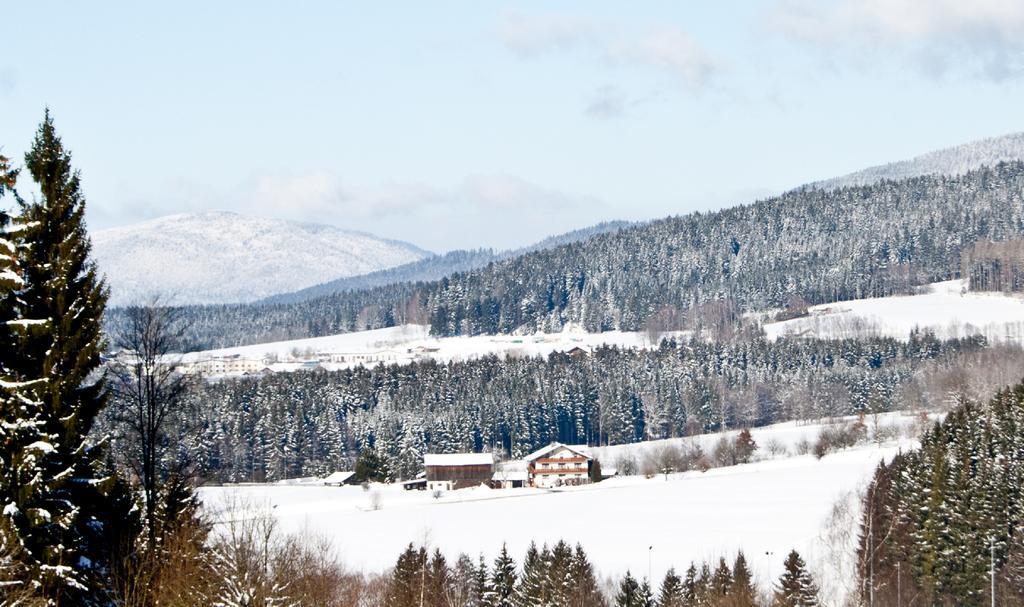 Pension Schuasterhof Bodenmais Kültér fotó